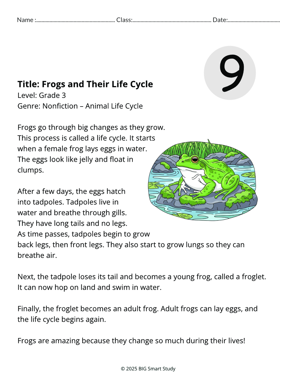 πΎ Animal Facts in Action β 10 Nonfiction Reading Worksheets for Grade 3 - Image 2