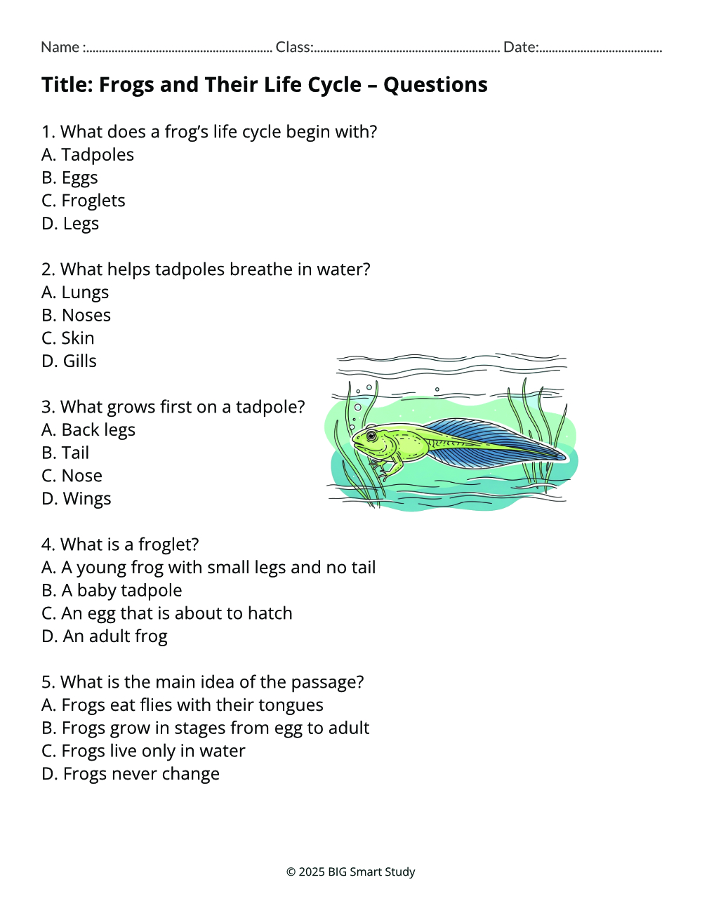 πΎ Animal Facts in Action β 10 Nonfiction Reading Worksheets for Grade 3 - Image 3