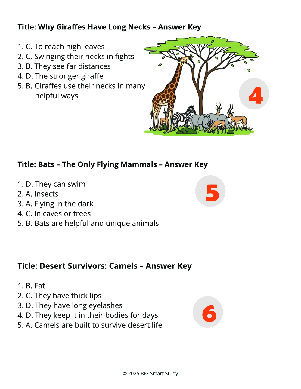 πΎ Animal Facts in Action β 10 Nonfiction Reading Worksheets for Grade 3 - Image 4