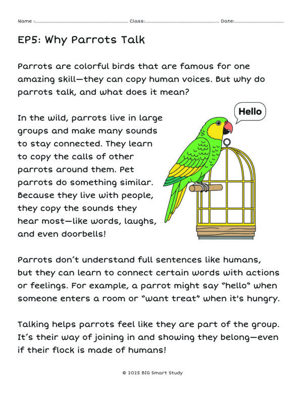 Pet Animal Reading & Writing Pack for Grade 3 – Nonfiction Passages and Thinking Tasks - Image 2