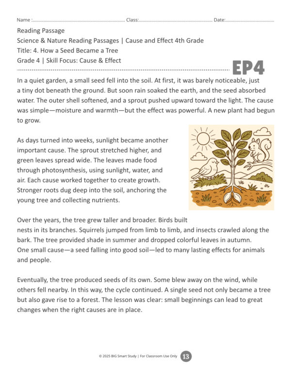 Grade 4 Reading Comprehension Worksheets | Science & Nature Cause and Effect Passages - Image 2