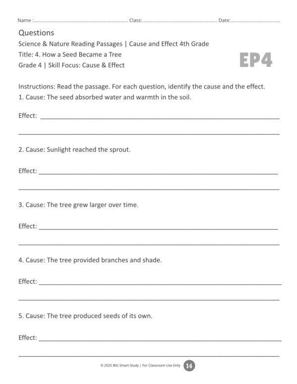Grade 4 Reading Comprehension Worksheets | Science & Nature Cause and Effect Passages - Image 3