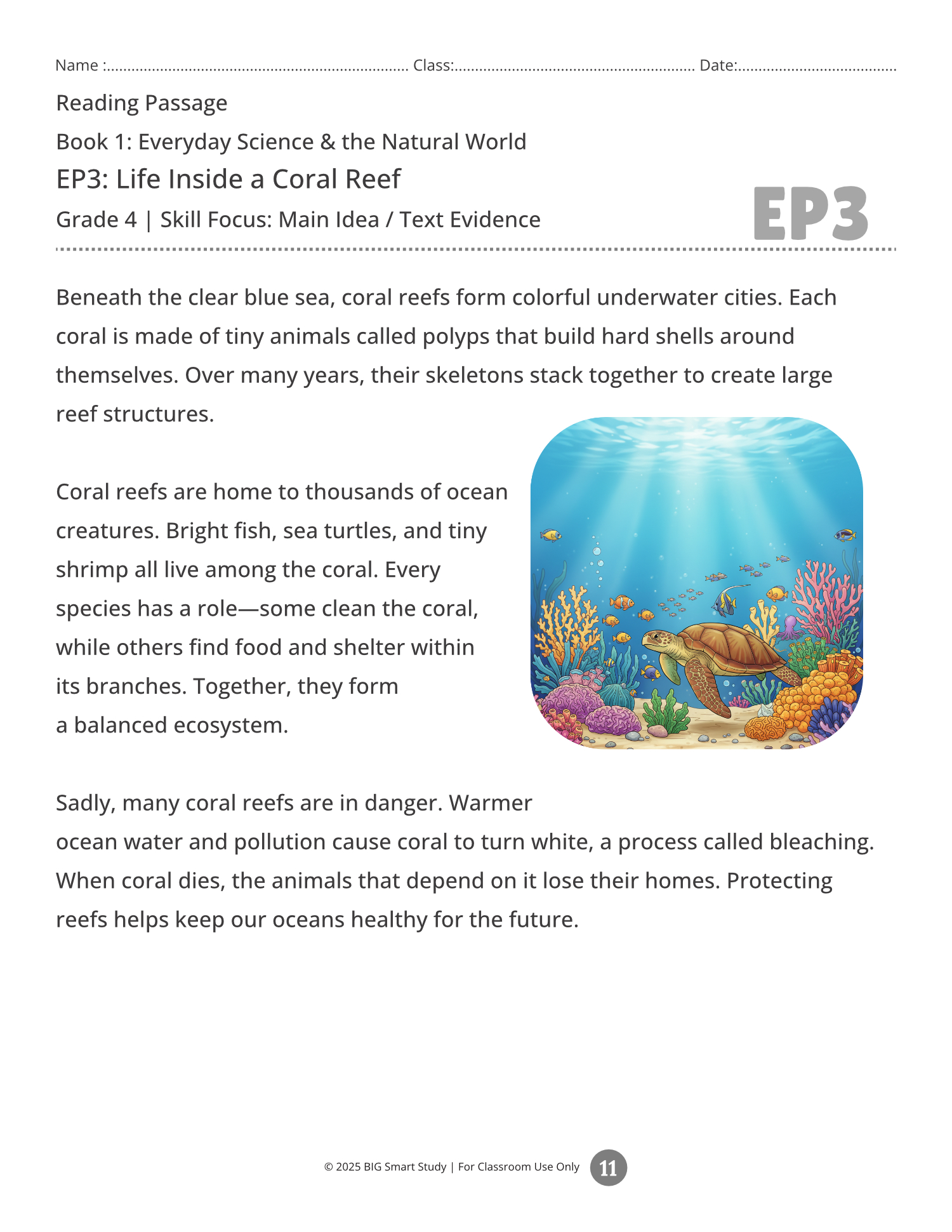 Everyday Science Reading Passages (Grade 4) – Nonfiction Comprehension Worksheets - Image 2