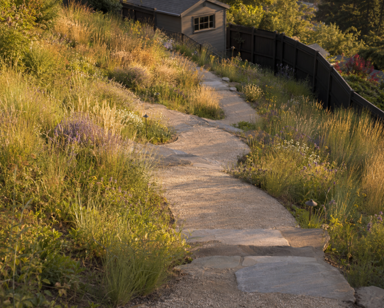 11 Landscape Ideas for a Sloped Backyard That Loses Soil After Rain landscape ideas, Sloped Backyard, Erosion Control, Hillside Garden, Slope Planting