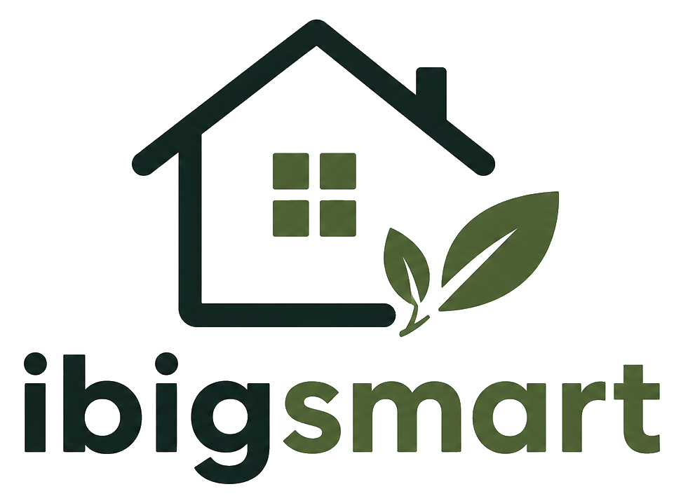 iBigSmart